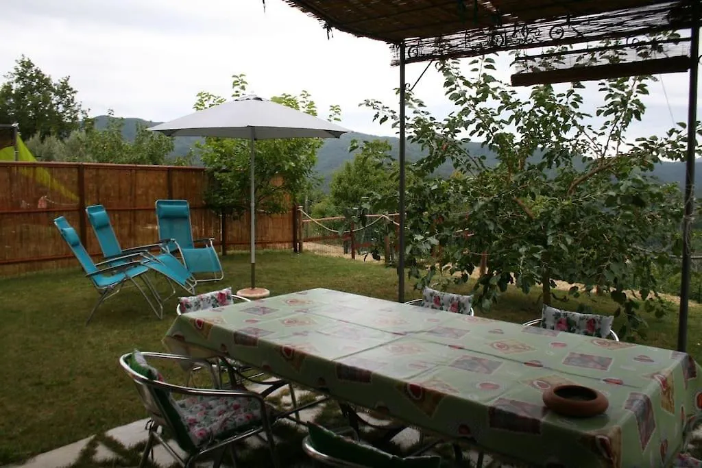 The Gelsi House Villa Velva